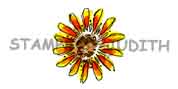 C-163-HK Sm. Sunflower Top